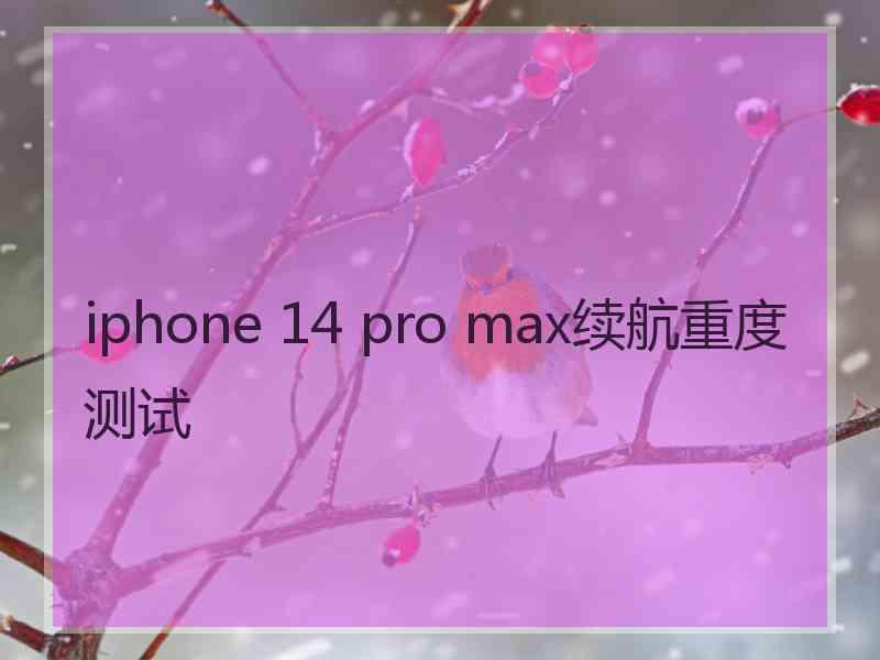 iphone 14 pro max续航重度测试