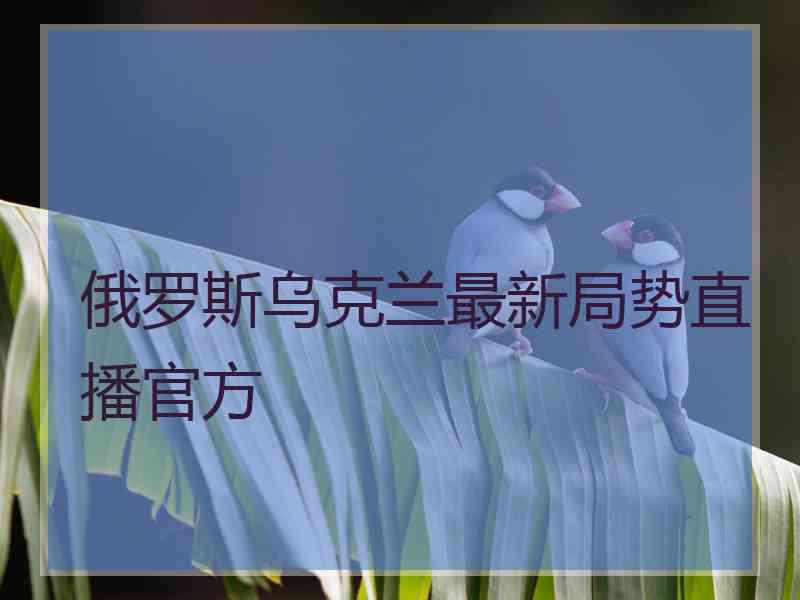 俄罗斯乌克兰最新局势直播官方