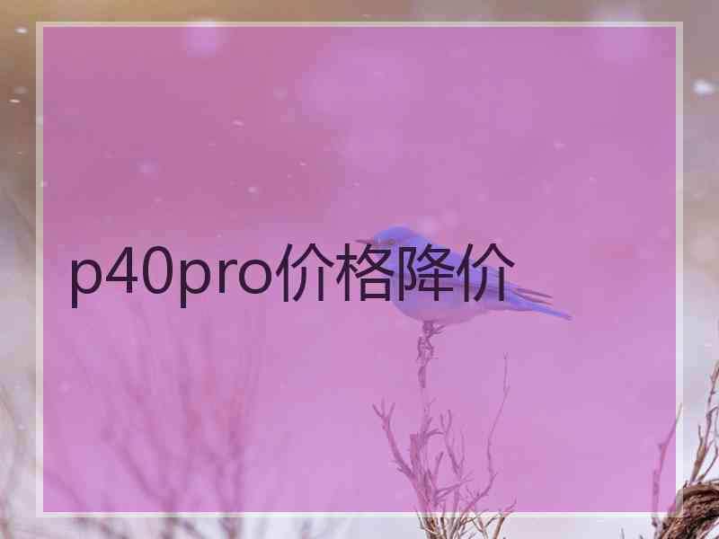 p40pro价格降价