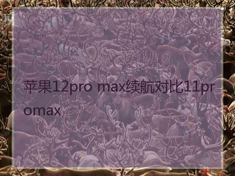 苹果12pro max续航对比11promax