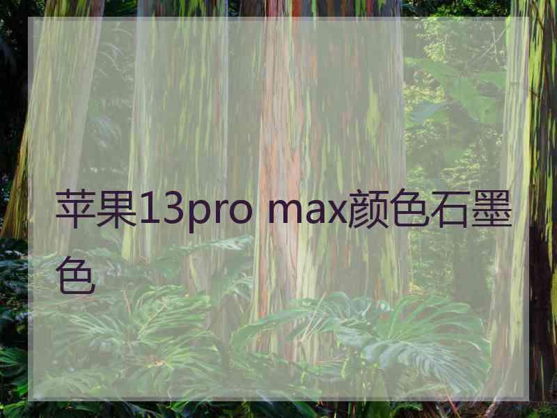 苹果13pro max颜色石墨色