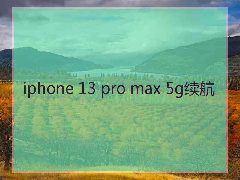 iphone 13 pro max 5g续航