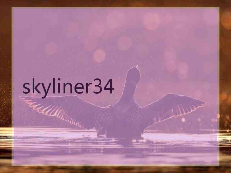 skyliner34
