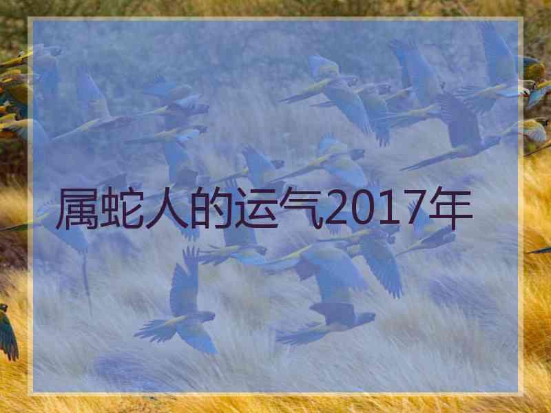 属蛇人的运气2017年