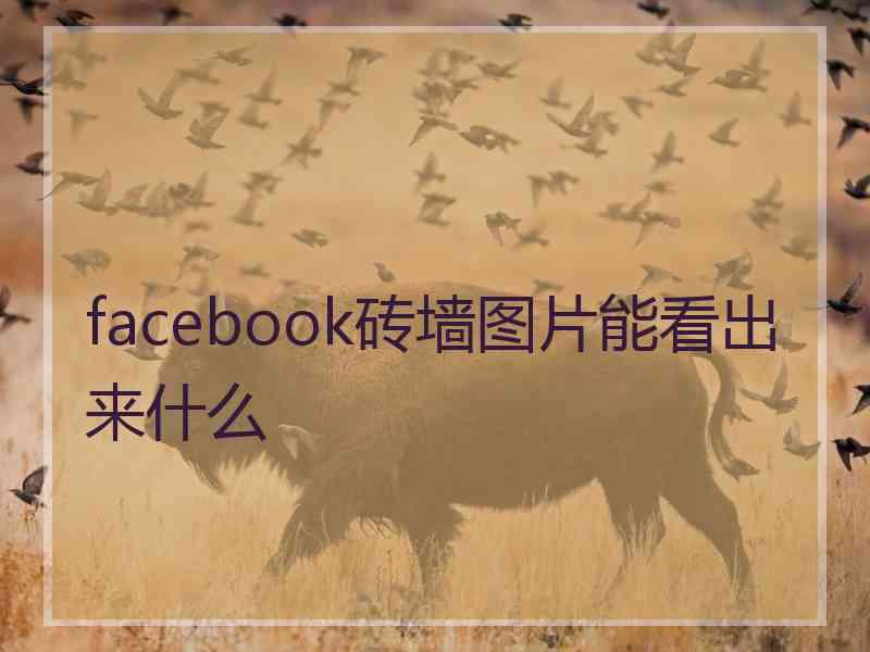 facebook砖墙图片能看出来什么