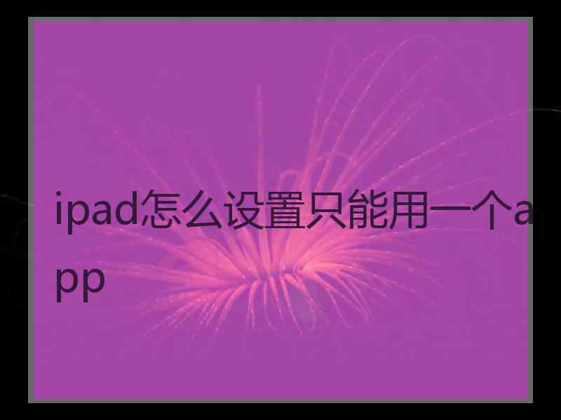 ipad怎么设置只能用一个app