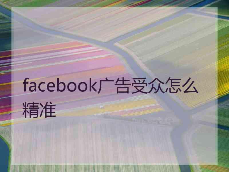 facebook广告受众怎么精准