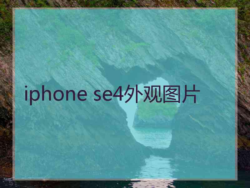 iphone se4外观图片