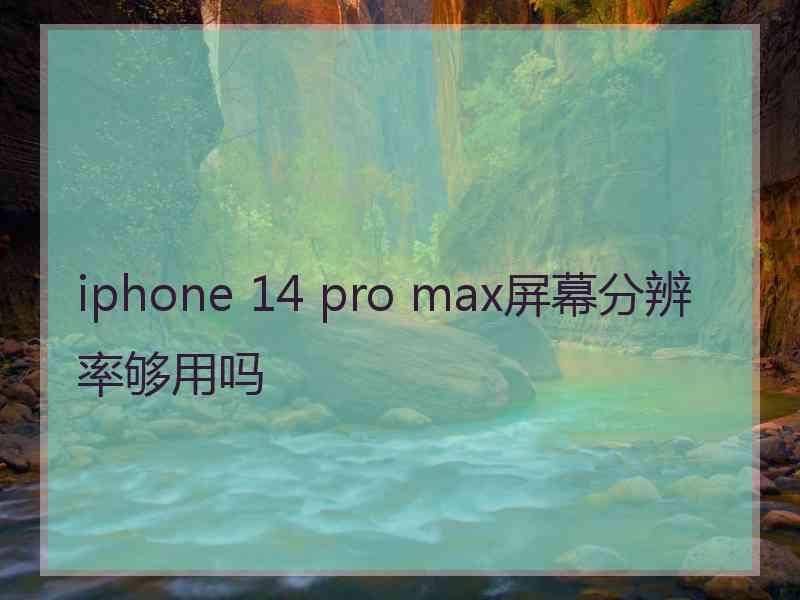 iphone 14 pro max屏幕分辨率够用吗