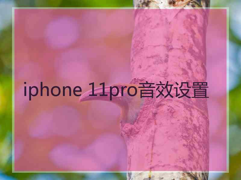 iphone 11pro音效设置