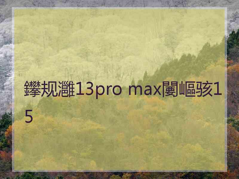 鑻规灉13pro max闄嶇骇15