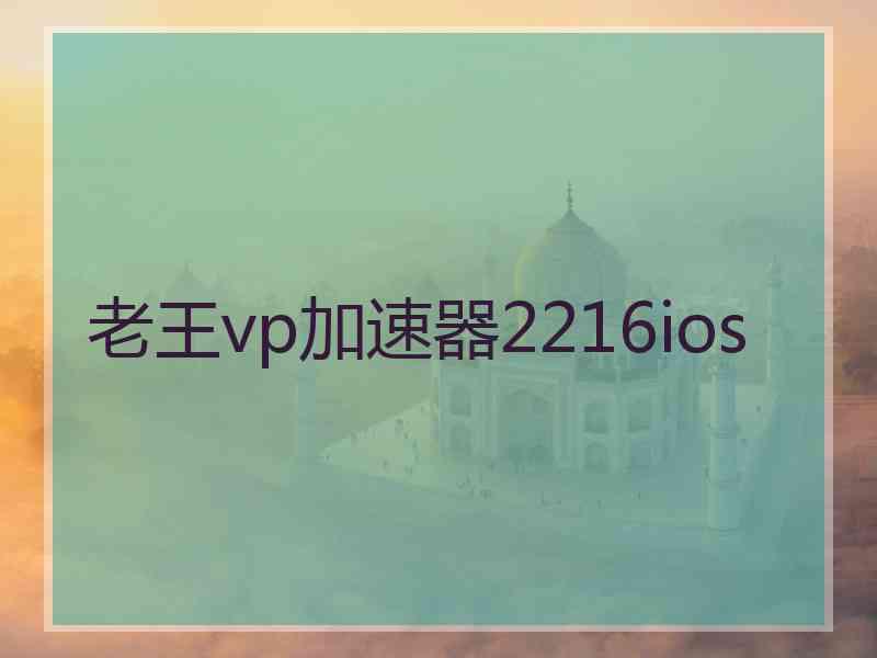 老王vp加速器2216ios