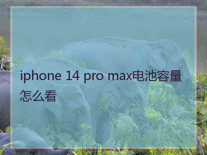 iphone 14 pro max电池容量怎么看