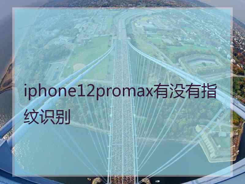 iphone12promax有没有指纹识别