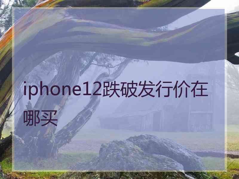 iphone12跌破发行价在哪买