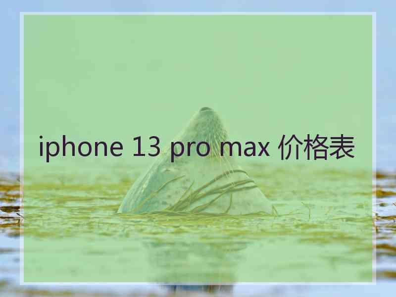 iphone 13 pro max 价格表