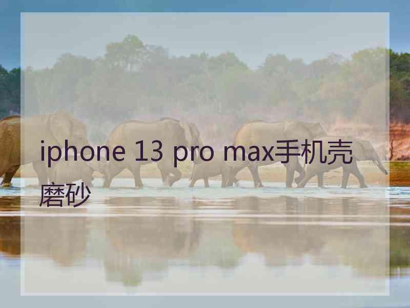 iphone 13 pro max手机壳磨砂