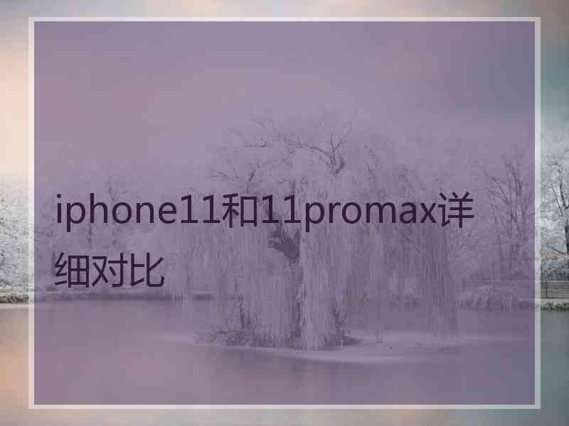 iphone11和11promax详细对比