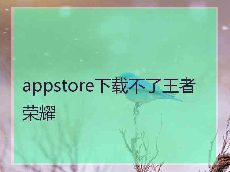 appstore下载不了王者荣耀