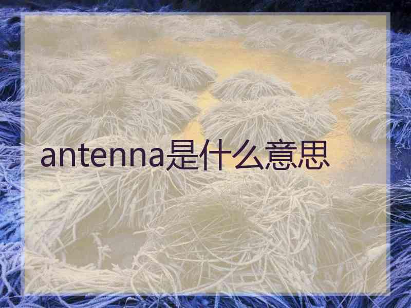 antenna是什么意思