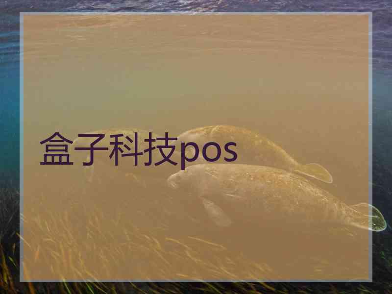 盒子科技pos