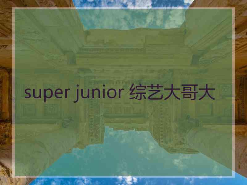 super junior 综艺大哥大