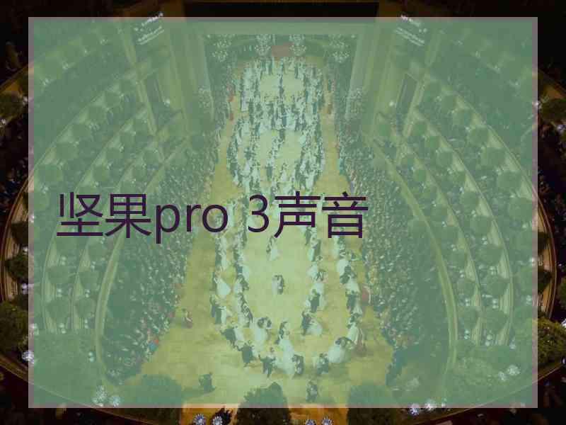 坚果pro 3声音