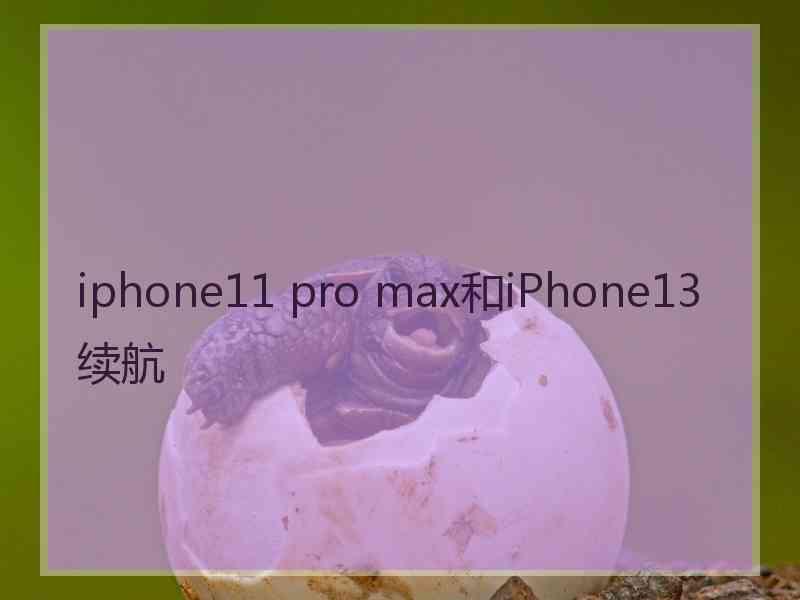 iphone11 pro max和iPhone13续航