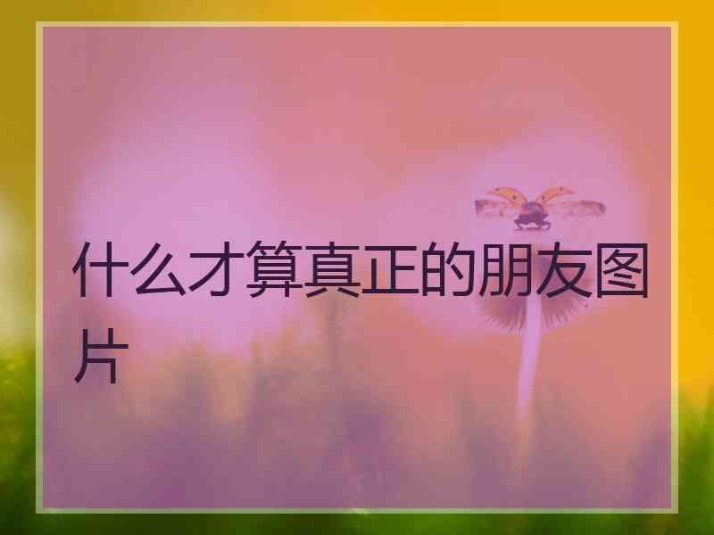 什么才算真正的朋友图片