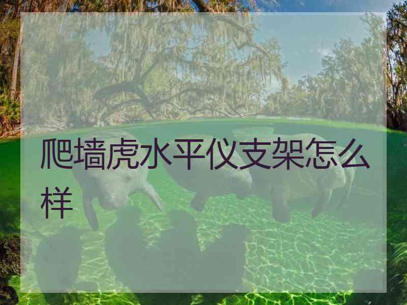 爬墙虎水平仪支架怎么样