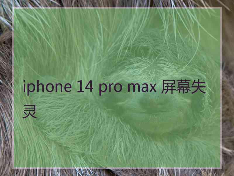 iphone 14 pro max 屏幕失灵