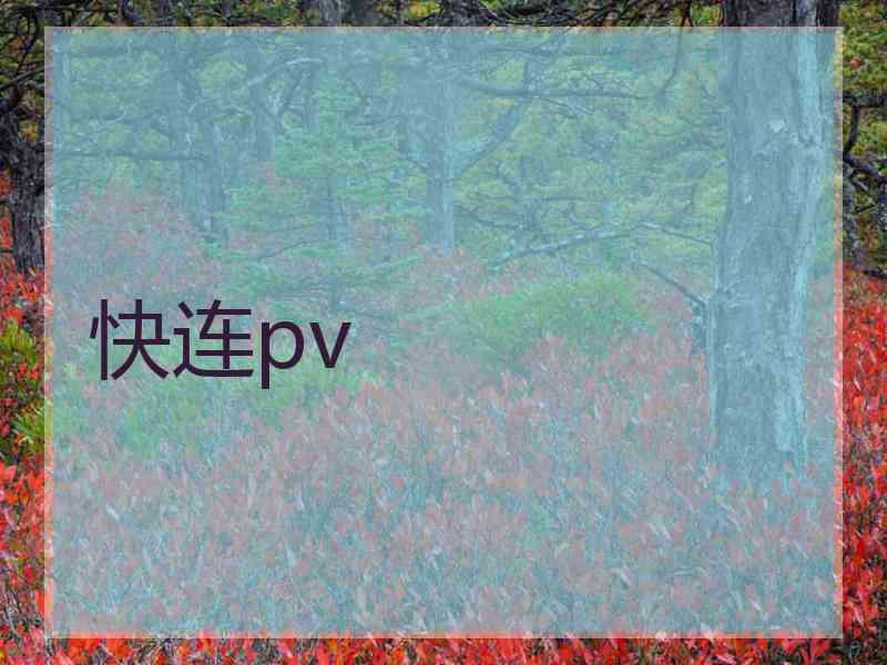 快连pv