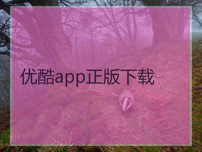 优酷app正版下载