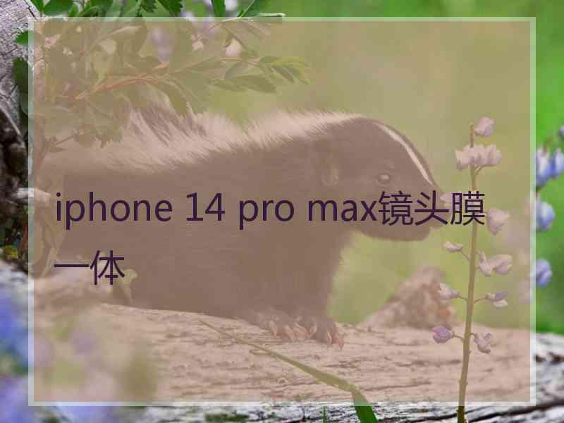 iphone 14 pro max镜头膜一体