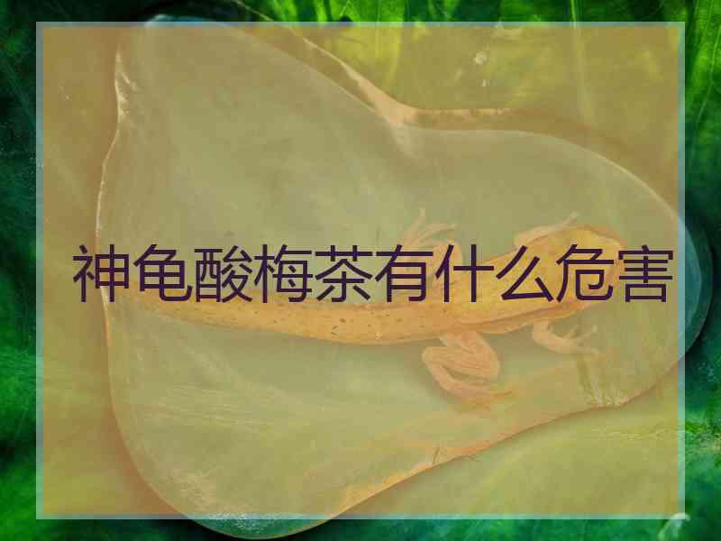 神龟酸梅茶有什么危害