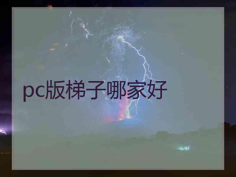 pc版梯子哪家好