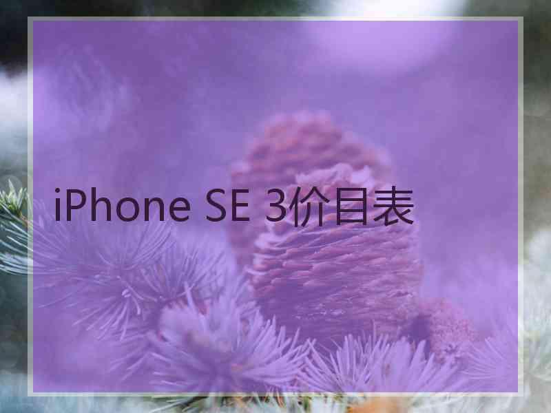 iPhone SE 3价目表