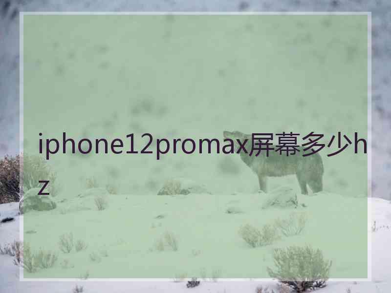 iphone12promax屏幕多少hz