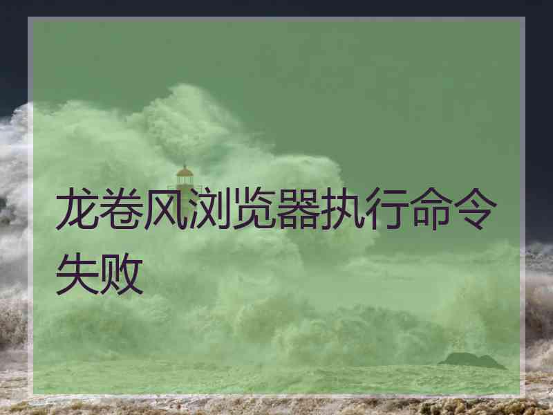 龙卷风浏览器执行命令失败