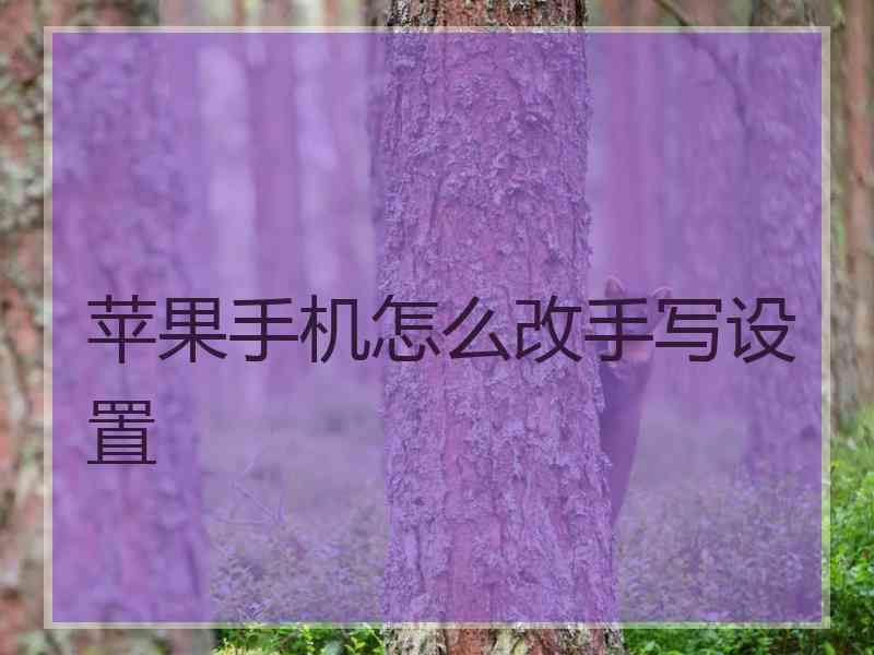 苹果手机怎么改手写设置