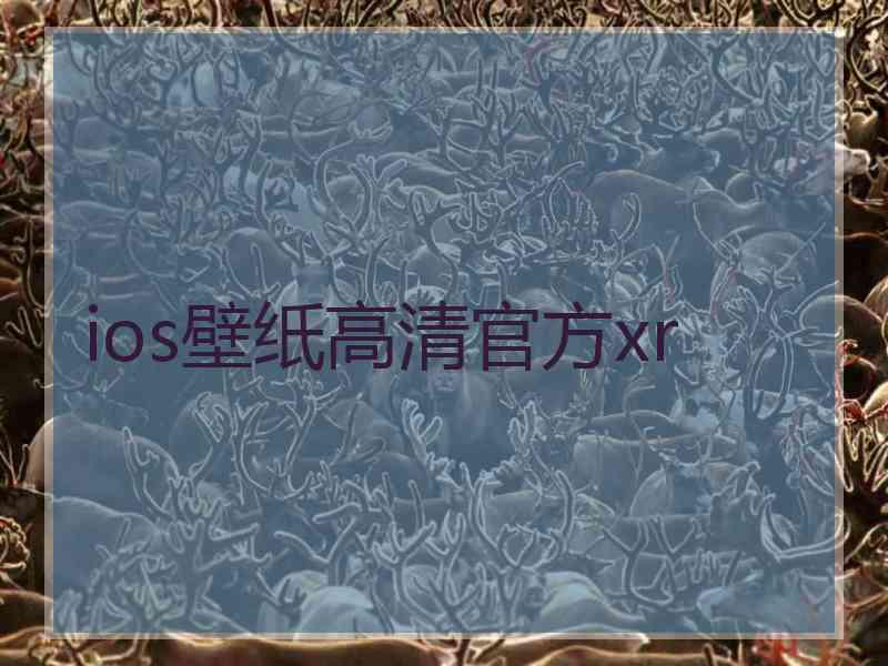 ios壁纸高清官方xr