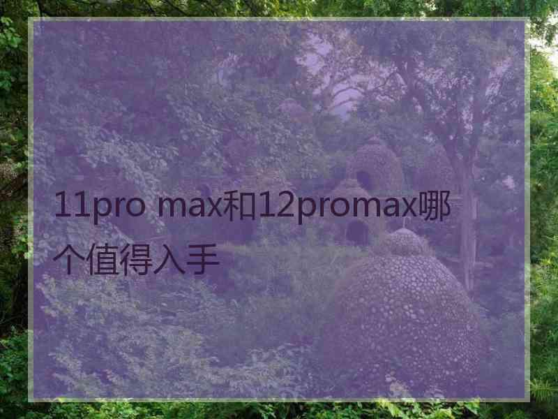 11pro max和12promax哪个值得入手