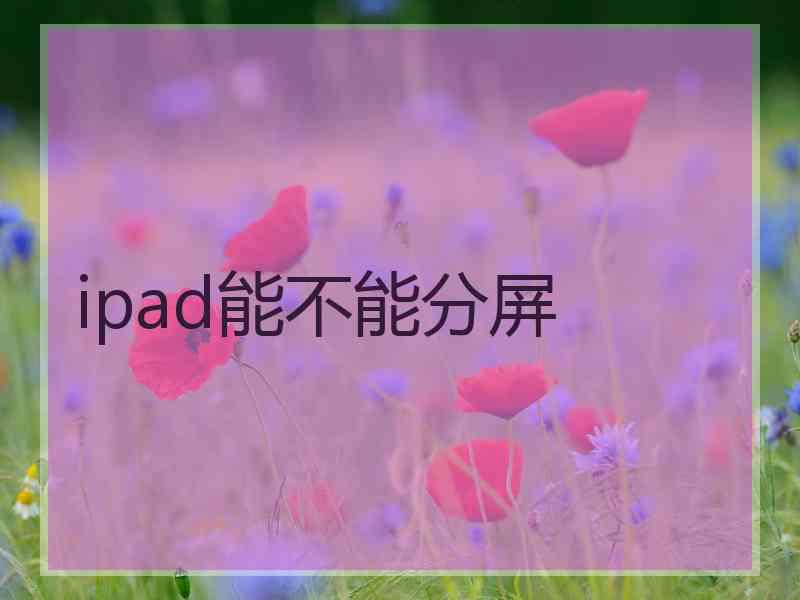 ipad能不能分屏