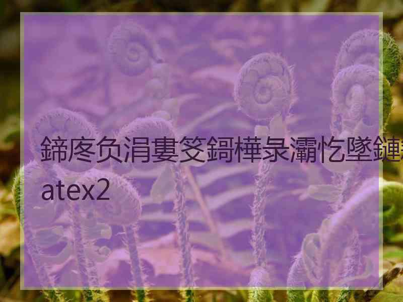 鍗庝负涓婁笅鎶樺彔灞忔墜鏈簃atex2