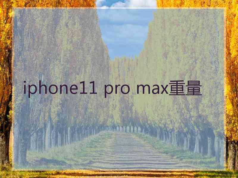 iphone11 pro max重量