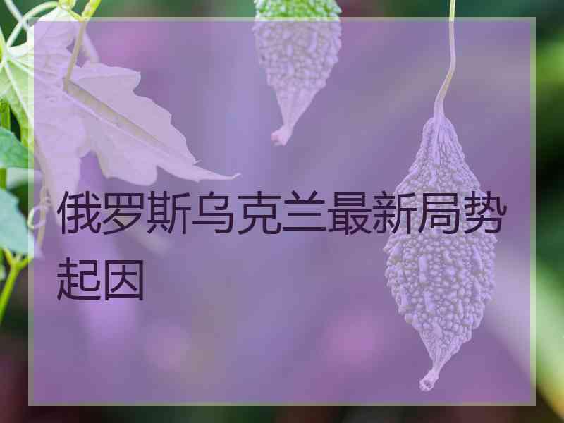 俄罗斯乌克兰最新局势起因