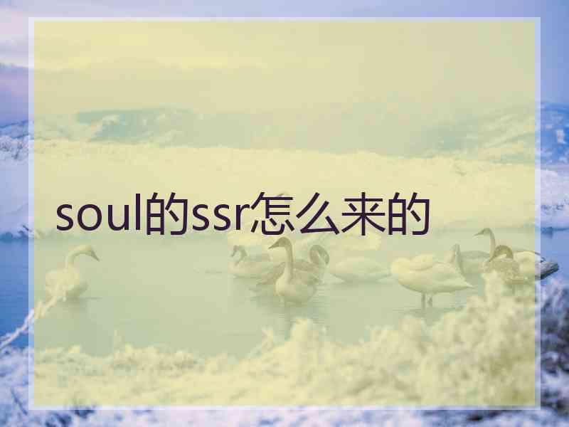 soul的ssr怎么来的