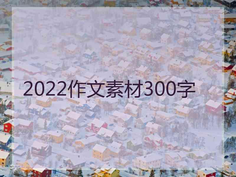 2022作文素材300字