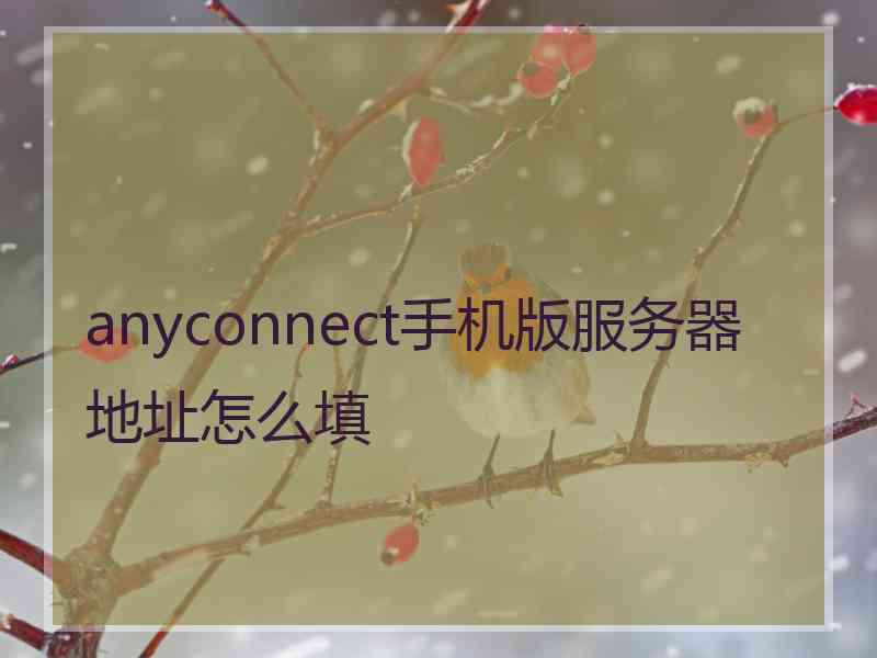 anyconnect手机版服务器地址怎么填