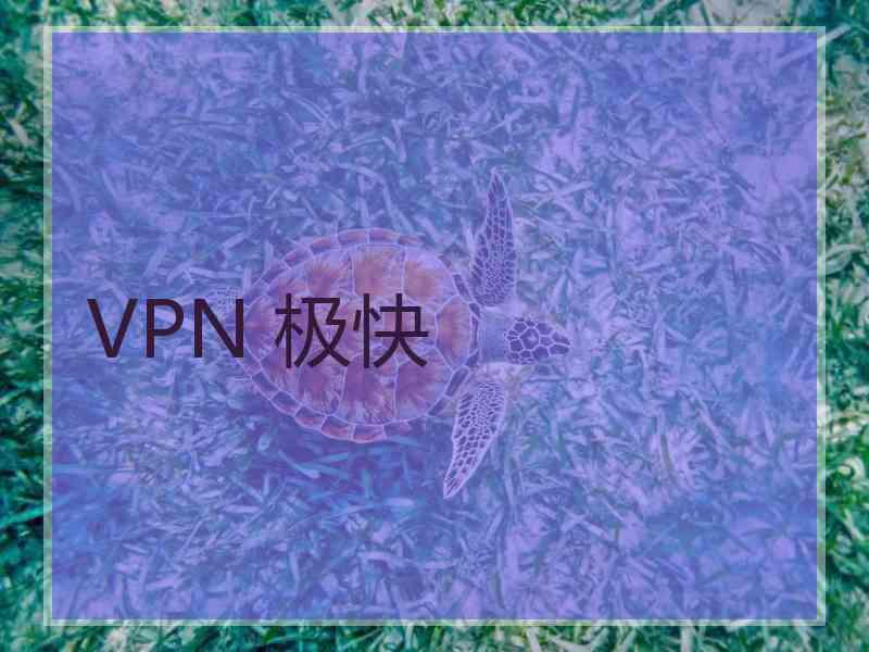 VPN 极快